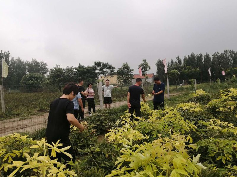 20200819成仿云帶領研究院一行調研