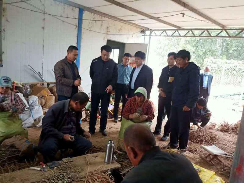 2020年10月5日牡丹區張區長來基地調研